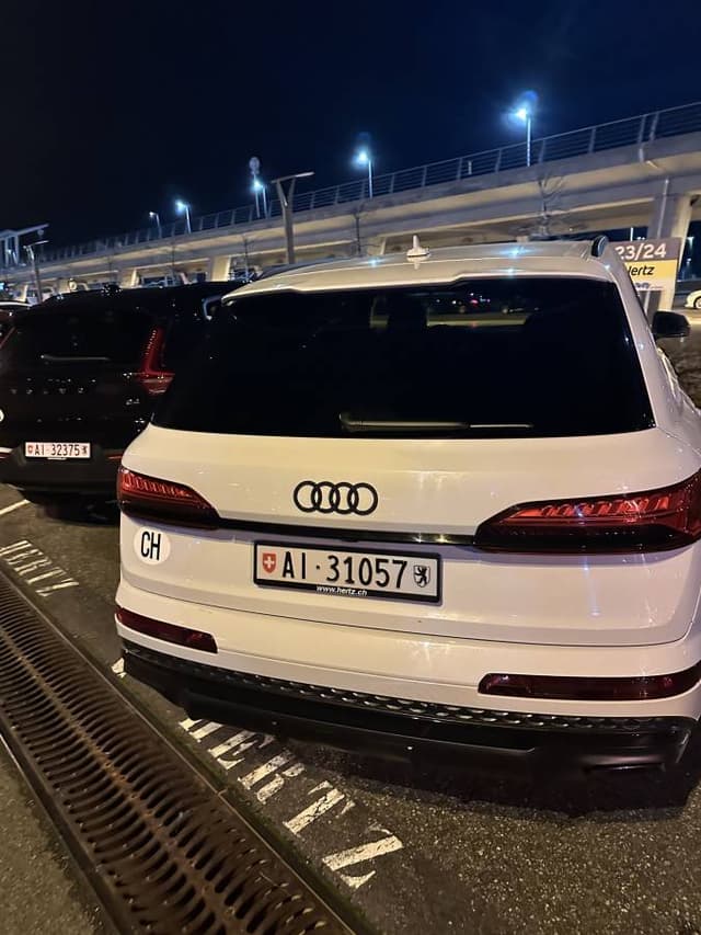 Photo 1 by Leandro M. about renting a Lexus RX in Basel (3/3/25)