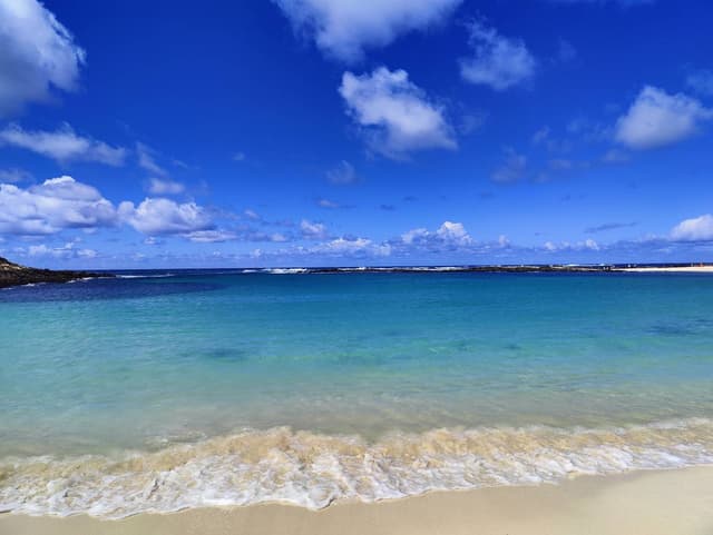 Photo 1 by Stephen G. (3/30/24)