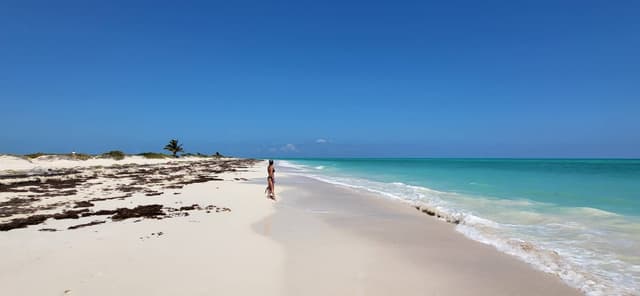 Photo 1 by Allan C. (4/5/23)