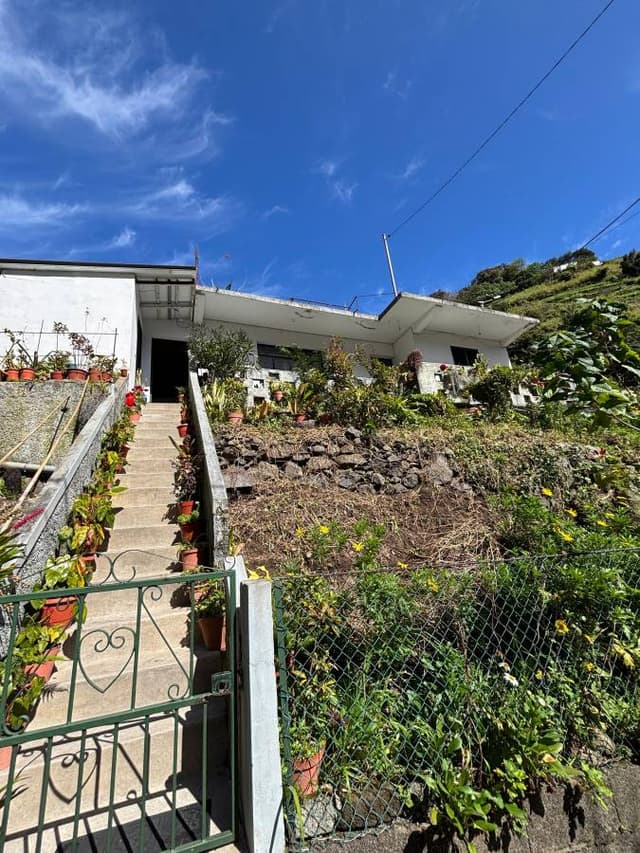 Photo 4 by Monica N. (2/24/25)