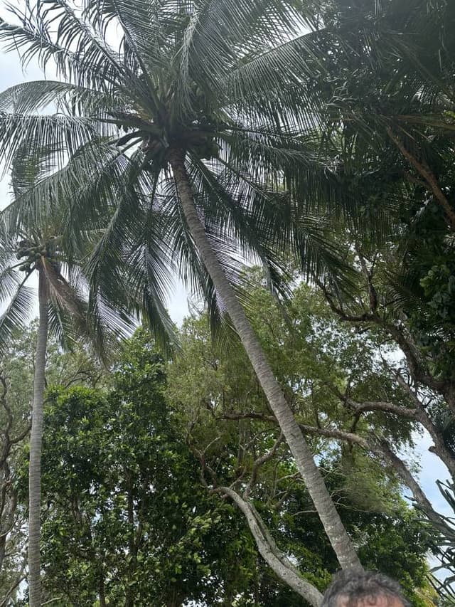 Photo 1 by Lilian M. (11/5/23)