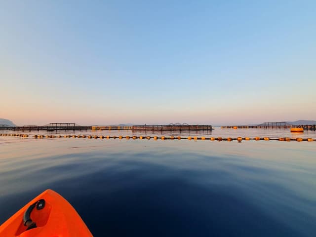 Photo 1 by Quelly S. (9/20/23)