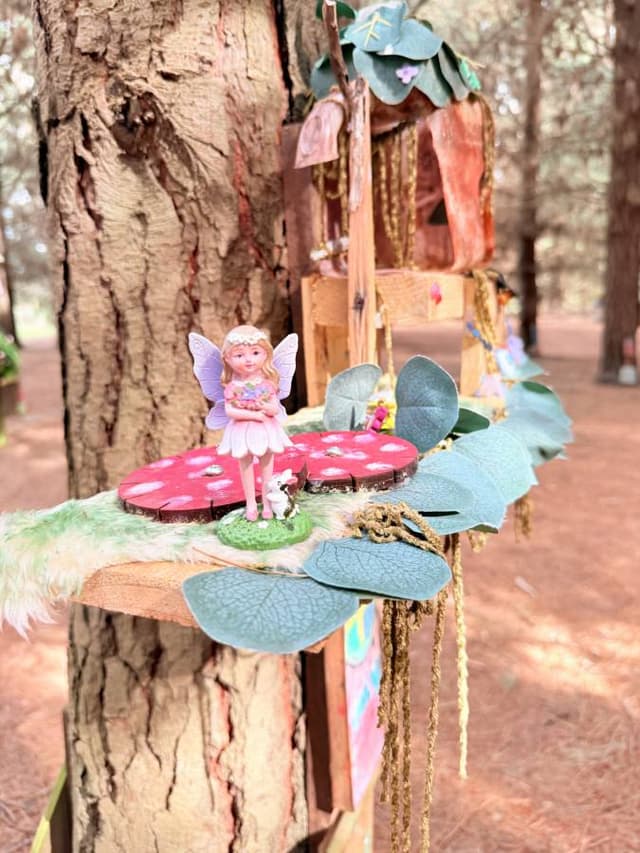 Photo 1 by Andrew C. (12/1/25)