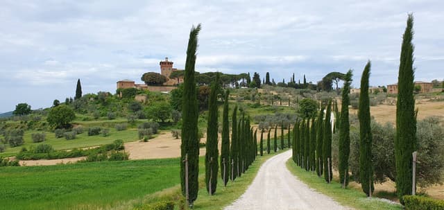 Foto 1 de jose D. (07/05/25)