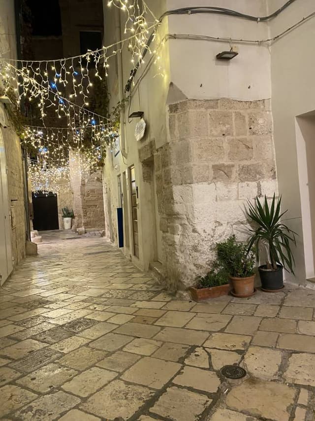 Photo 2 by Marius Alin F. (1/5/24)