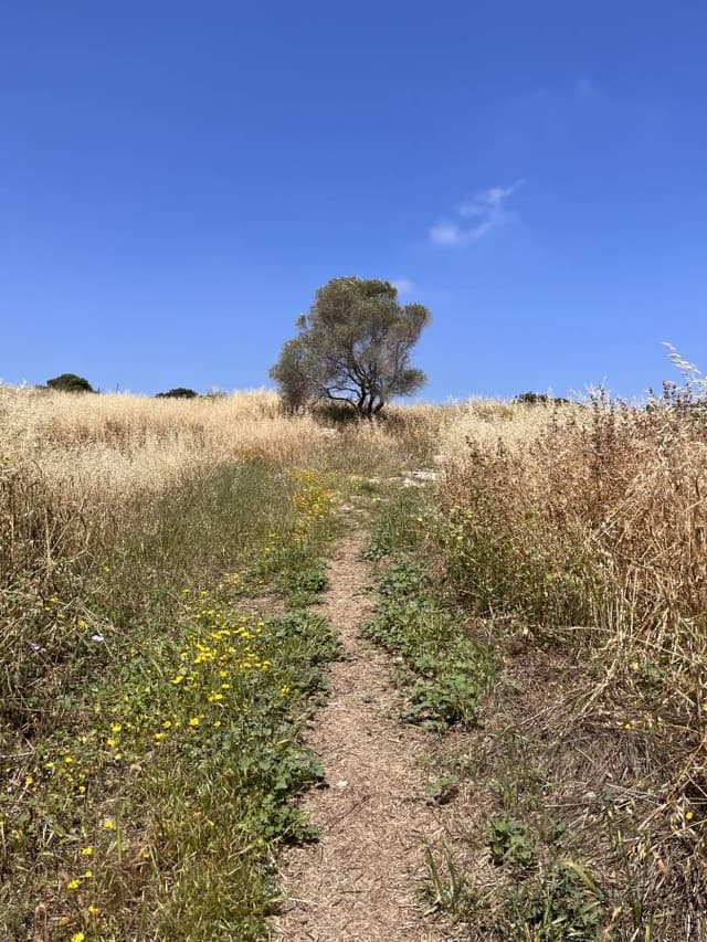 Photo 1 by Sarah R. about hiring a Kia Picanto in Cyprus (04/05/26)