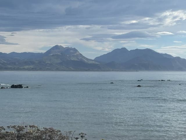 Photo 1 by Andrea H. (3/1/26)