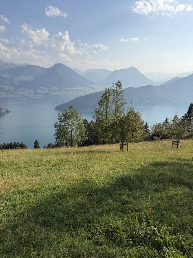 Photo 7 by Marin P. (7/31/26)