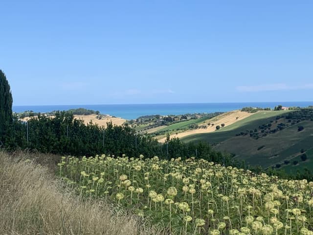 Foto 2 di andrea S. (13/08/25)