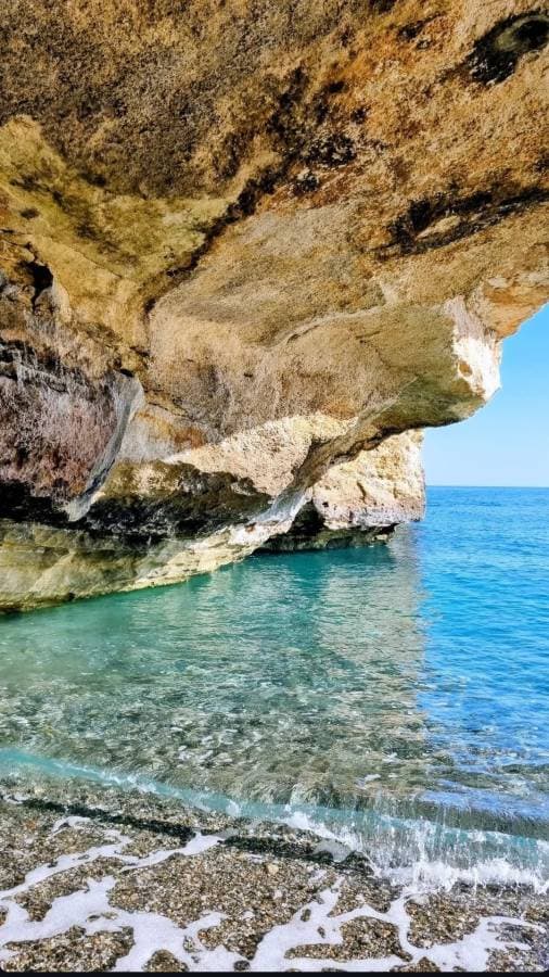 Photo by Rosangela R. (9/14/25)