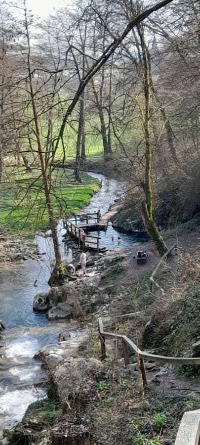 Photo 6 by Kevin B. (3/13/26)