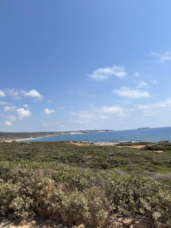 Photo 5 by Kay H. about hiring a Skoda Fabia in Paphos (15/06/26)