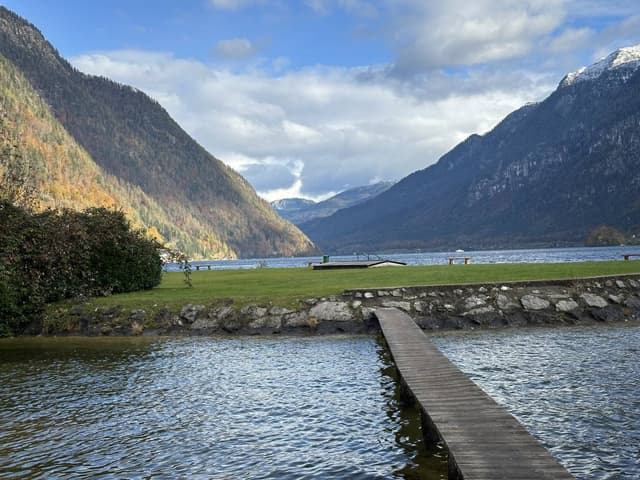 Photo 2 by Justina J. (10/27/25)