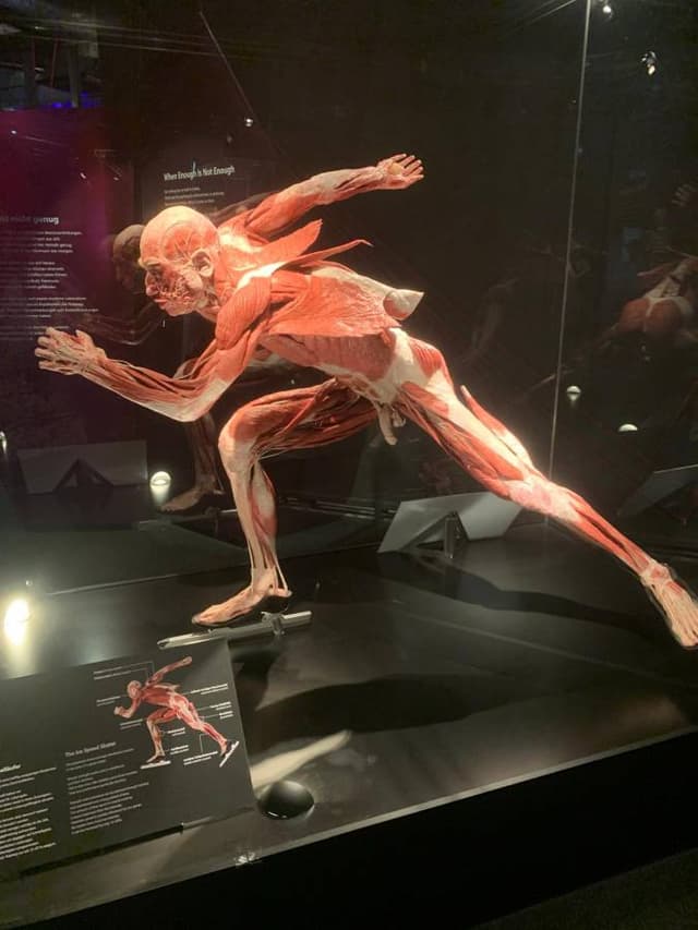 Photo 1 by MARGARETA M. about renting a Kia Stonic in Croatia (6/18/25)