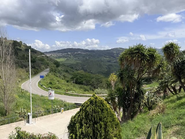 Photo 3 by Frank G. (4/23/26)
