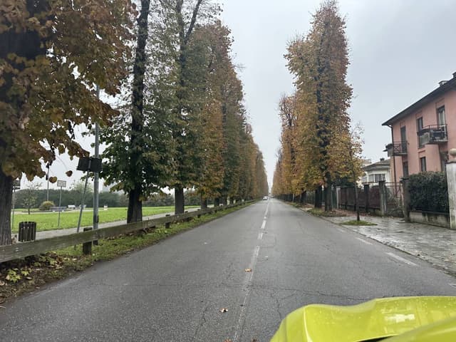 Photo 3 by Lior S. (11/1/25)