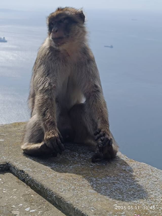 Photo 1 by Vaidas K. (6/4/25)