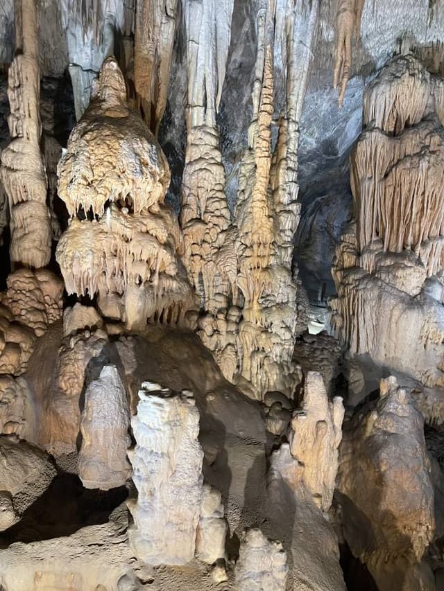 Photo 1 by Laurence M. about hiring a Volkswagen Golf in Venice (10/06/25)