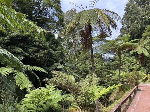 Photo 2 by Christopher G. (9/18/25)