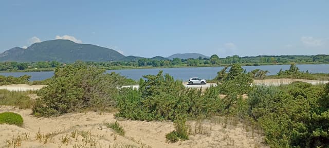 Photo by Yves B. (6/30/25)