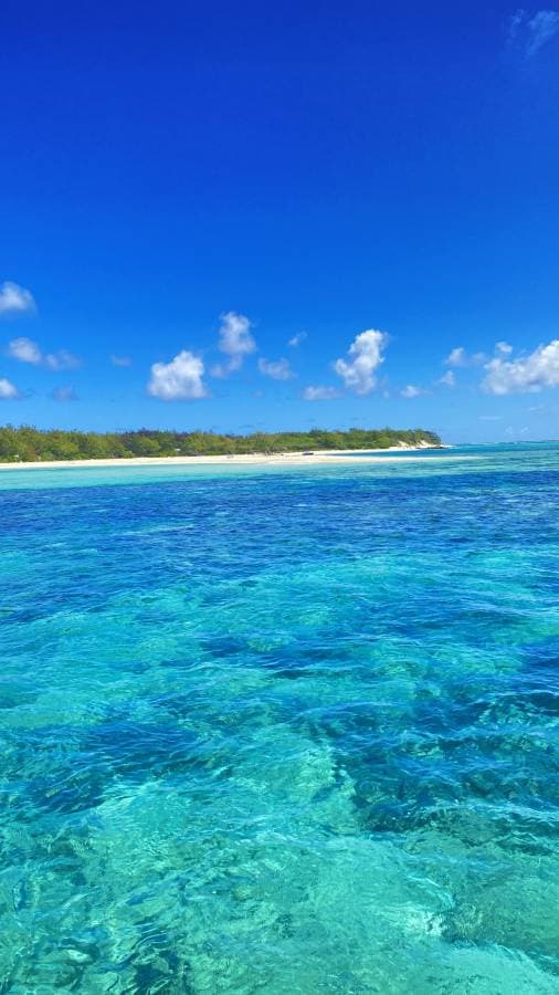 Photo 5 by Raymond A. about hiring a Suzuki Swift in Plaisance (31/03/25)