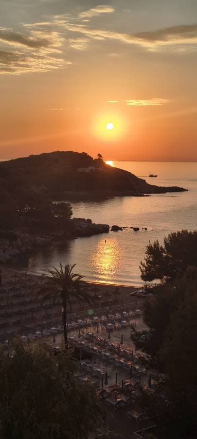 Photo 3 by Gregor D. about renting a Volkswagen Taigo in Mallorca (7/13/25)