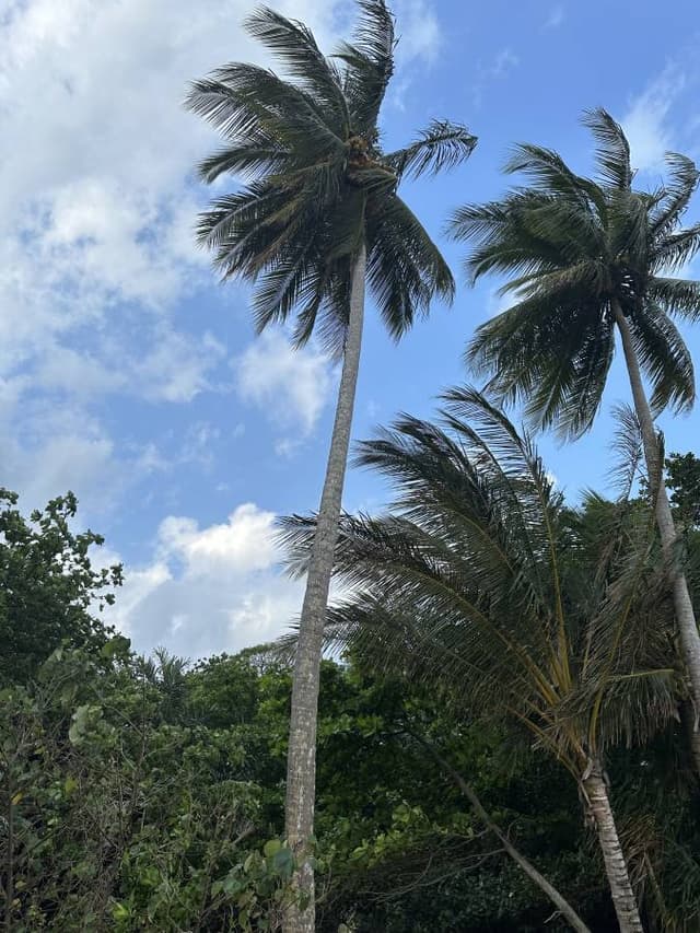 Photo 2 by Lilian M. (11/5/23)