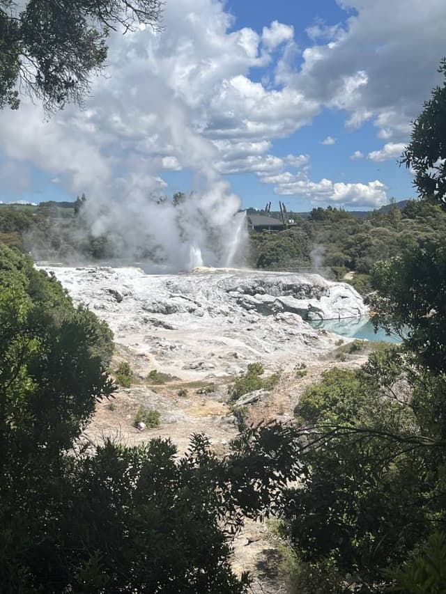 Photo 1 by Kate M. (11/15/25)