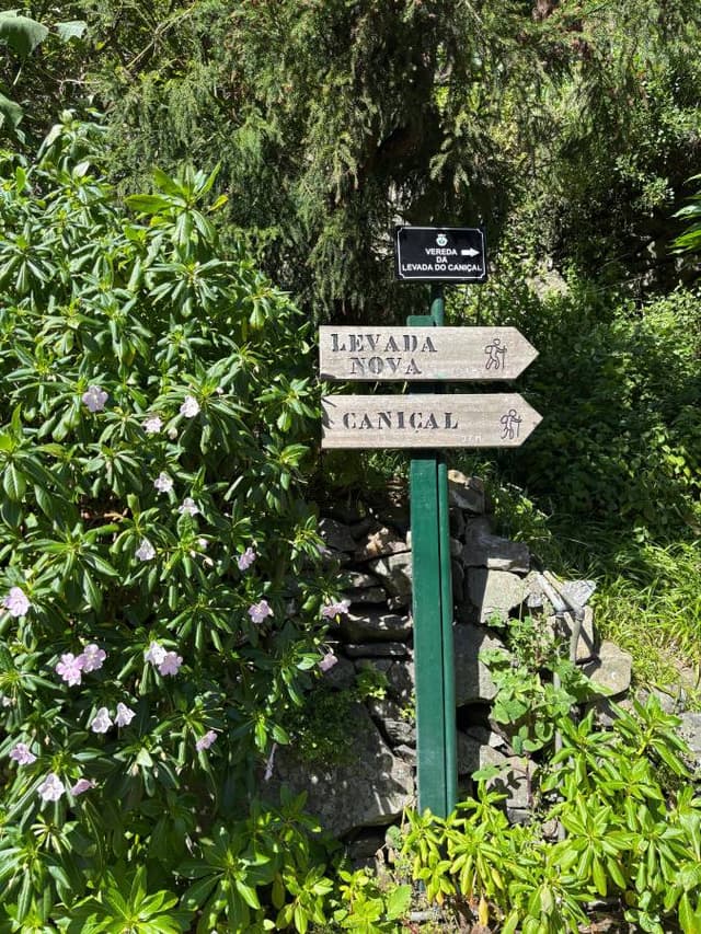 Photo 5 by Monica N. (2/24/25)