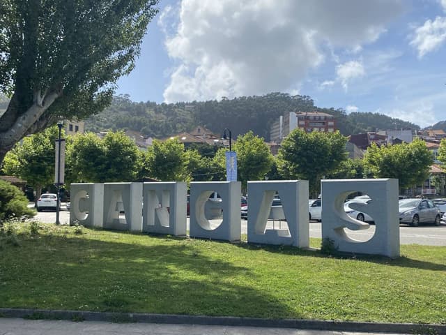 Photo 1 by WILMER L. (6/18/24)