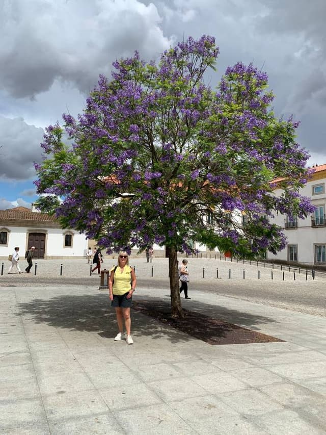 Photo 2 by Jane S. about hiring a Volkswagen T-Roc in Porto (24/06/24)