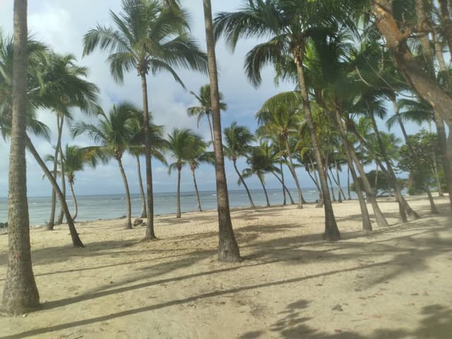 Photo 1 by Gordon S. (5/25/25)