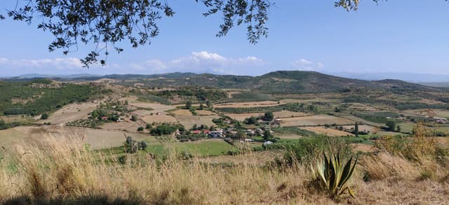 Foto 4 van Rick G. (13-8-23)