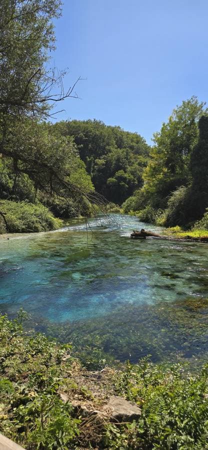 Billede 2 af Lasse K. (7.9.25)