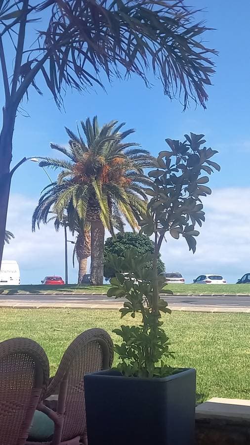 Photo 3 by Susan R. about hiring a Renault Megane in Fuerteventura (24/05/26)