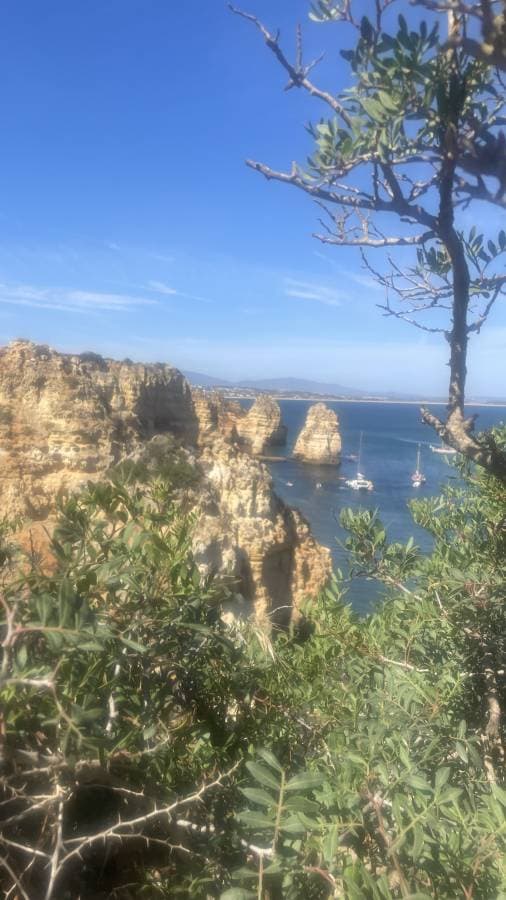 Foto di paola B. (19/08/24)