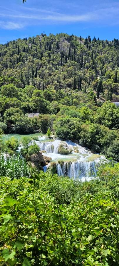 Zdjęcie 1 wykonane przez Slawomir S. (19.07.24)