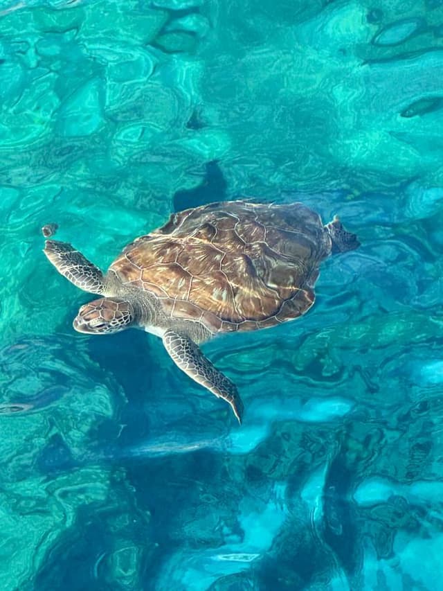 Photo 1 by Avgi N. about hiring a Nissan Note in Cyprus (08/10/24)