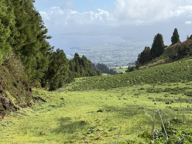 Photo 1 by Michael B. (2/27/25)