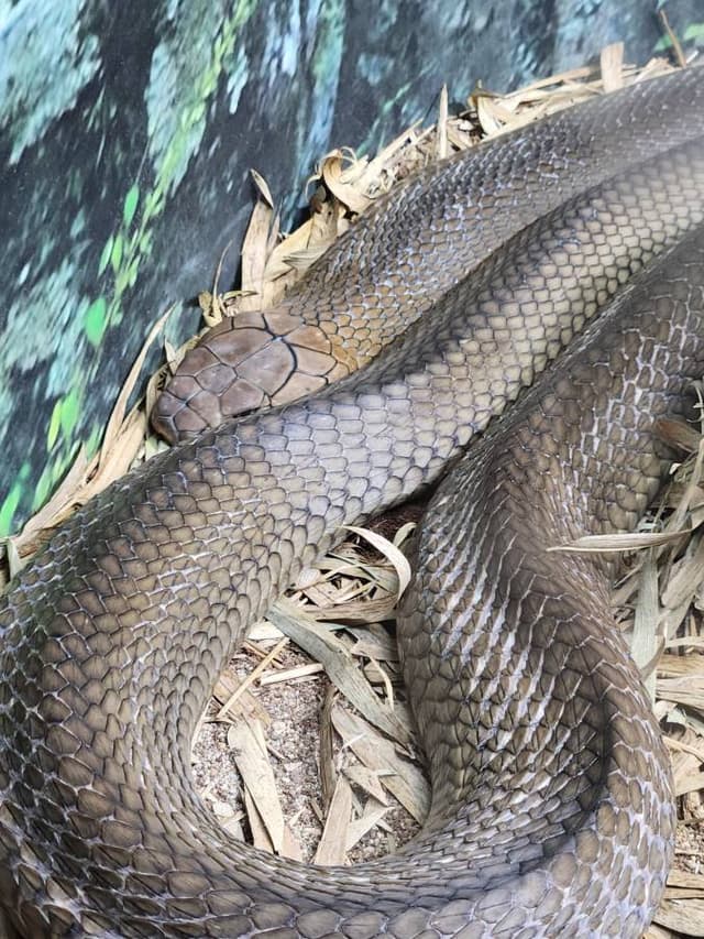 Photo 1 by Paula C. (11/24/25)