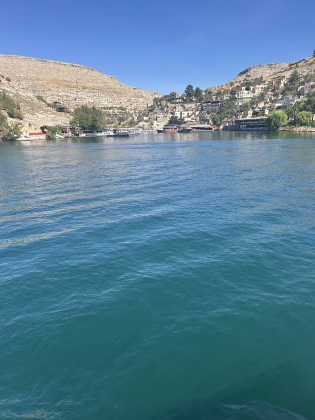 Photo 1 by Samir B. (9/28/25)