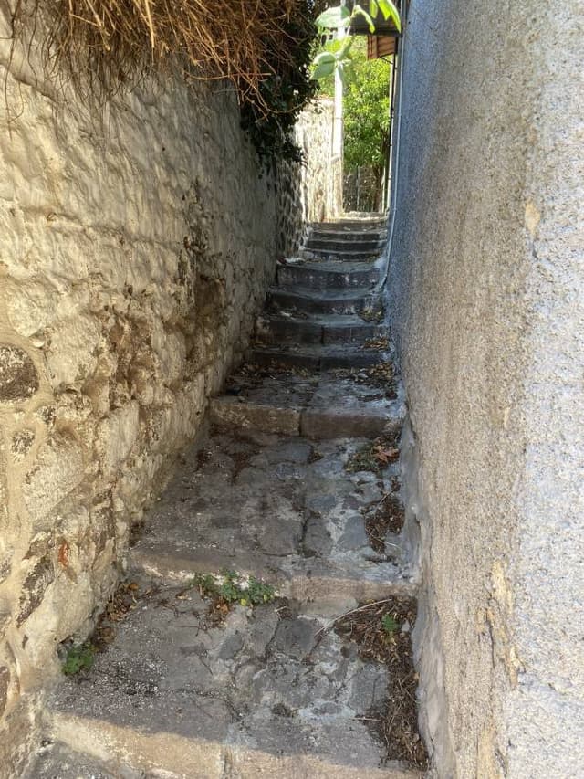 Photo 1 by dilek Y. (7/26/22)