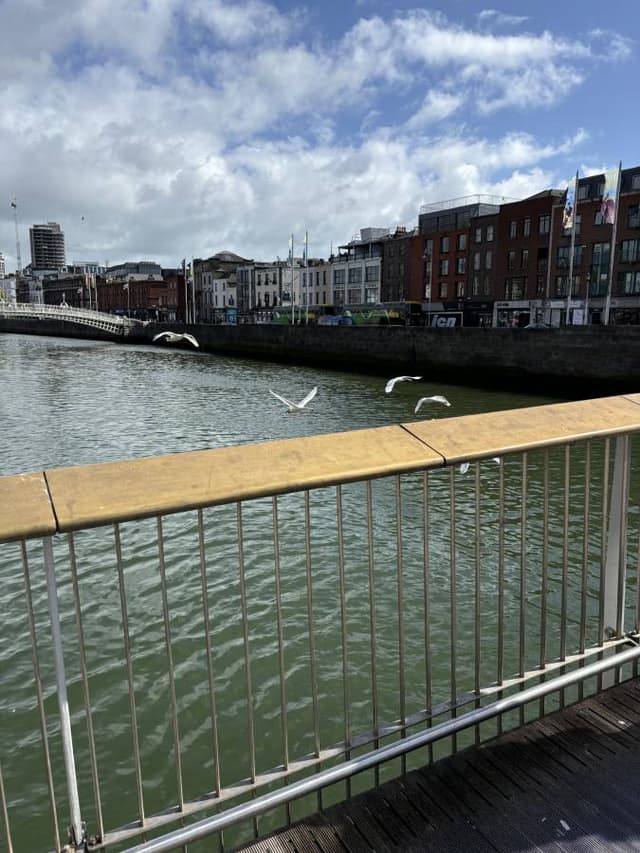 Photo 3 by Ethan R. (9/12/24)