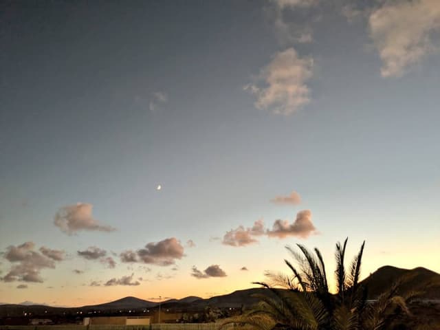 Photo 1 by Roger L. (10/13/25)