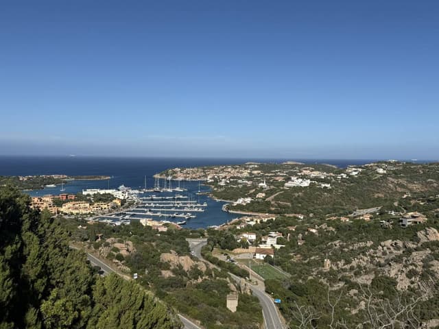 Photo 3 by Anna K. (5/30/25)