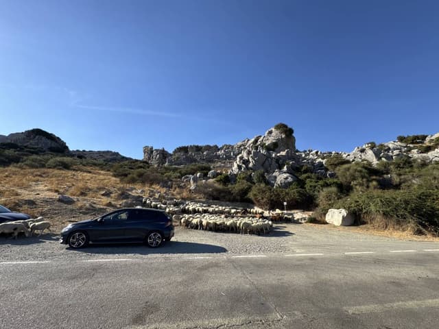 Photo 1 by Lukasz W. (9/28/26)