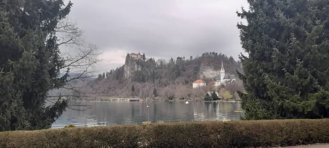 Photo 8 by Kevin B. (3/13/26)