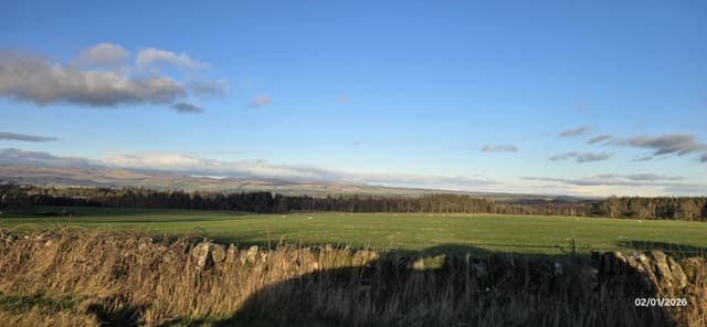 Foto 1 de Ricardo Nuno B. (04/01/26)