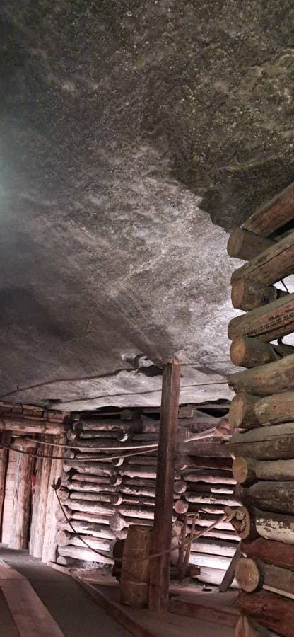 Photo 1 by Laura S. (8/13/24)