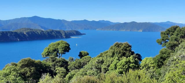 Photo 2 by Michael D. (2/5/26)